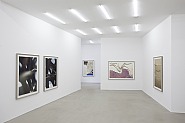 Model Studies (2011)<br>Exhibition view at Esther Schipper, Berlin
