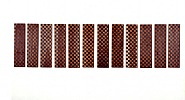Untitled (12 checked paintings)