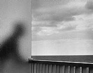 André Kertész - Martinique (Photographs) h: 15.4 x w: 19.6 in / h: 39.1 x w: 49.8 cm
