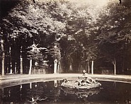 Eugène Atget - Versailles (Photographs) h: 7 x w: 8.2 in / h: 17.8 x w: 20.8 cm