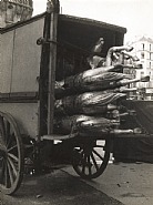 André Kertész - Carousel Horses, Paris (Photographs) h: 9.4 x w: 7.1 in / h: 23.9 x w: 18 cm