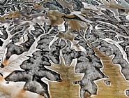 Dryland Farming #11, Monegros County, Aragon, Spain