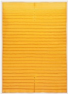 Surya V