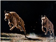 Panel No. 24 from Salon (Dogs, 1938)