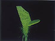 Robert Stackhouse - Green Augusta (Prints and Multiples) h: 23.2 x w: 29 in / h: 58.9 x w: 73.7 cm