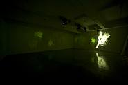 Mat Collishaw - Deliverance (Installations)