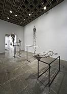 Charles Long - Installation View: Whitney Biennale 2008 (Installations)