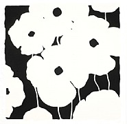 Donald Sultan - Five Whites (Prints and Multiples) h: 60 x w: 60 in / h: 152.4 x w: 152.4 cm
