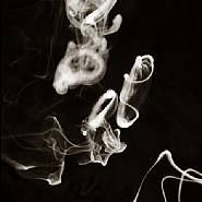 Donald Sultan - February 10, 2001 (Photographs) h: 68 x w: 68 in / h: 172.7 x w: 172.7 cm