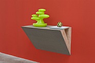 Haim Steinbach - Untitled (plant, artichoke) (Installations) h: 95 x w: 88.9 x d: 50 cm / h: 37.4 x w: 35 x d: 19.7 in