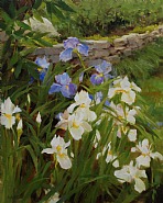 Blue and White Iris (Sold)
