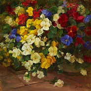Pansies