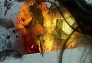 Stephanie Washburn - Reception 11 (Photographs) h: 15 x w: 22 in / h: 38.1 x w: 55.9 cm