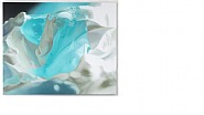 Future Fluids