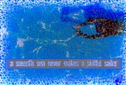 The Voice of the Sea Speaks to the Soul