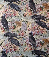 Crows and Toads
