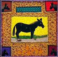 Donkey Pastures