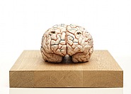 Jan Fabre - The brain of a killer (Sculptures) h: 32.4 x w: 25 x d: 18 cm / h: 12.8 x w: 9.8 x d: 7.1 in
