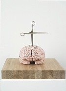 Jan Fabre - Brain with Star (Sculptures) h: 32 x w: 23 x d: 40 cm / h: 12.6 x w: 9.1 x d: 15.7 in