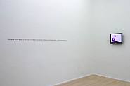 Beverly Semmes - Exhibition 'Ice Queen'