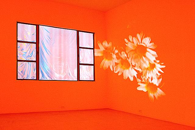  Diana Thater, Pink Daisies, Amber Room