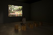 O problema de Molyneux | Exhibition View at Galpão Fortes Vilaça