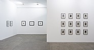 Exhibition View: Iran do Espírito Santo | Desenhos (1985–2013)