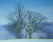 Hampstead Heath Remembered