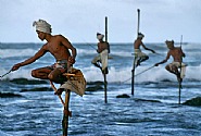 Stilt Fishermen