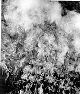 Adam Fuss - From the Series 'My Ghost' (Photographs) h: 50.8 x w: 42.8 in / h: 129 x w: 108.7 cm