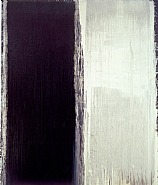 Pat Steir - Black (Paintings) h: 127.2 x w: 109.2 in / h: 323.1 x w: 277.4 cm