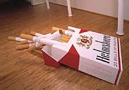 Hans Haacke - Helmsboro Country (unfolded) (Sculptures)