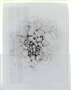 Jonathan Borofsky - Untitled (counting 3180772 to 3180908) (Works on Paper (Drawings, Watercolors etc.)) h: 12 x w: 9 in / h: 30.5 x w: 22.9 cm