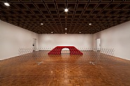 Robert Grosvenor - Untitled (Installations)
