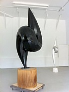 Black Venus