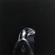 Kestral