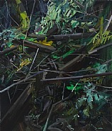 Stumps and Twigs