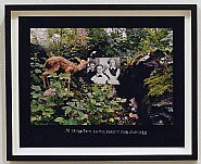 Duane Michals - An Exhibition in the Forest for Animals (Photographs)