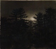 Pines, Dusk