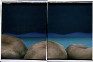 William Wegman - River Bank (Photographs) h: 24 x w: 20 in / h: 61 x w: 50.8 cm