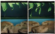 William Wegman - River Bank (Photographs) h: 24 x w: 20 in / h: 61 x w: 50.8 cm