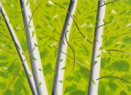 Alex Katz - B Birches (Paintings) h: 121 x w: 168 cm / h: 47.6 x w: 66.1 in
