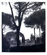 April Gornik - Palentine Shade (Prints and Multiples) h: 34.5 x w: 29.5 in / h: 87.6 x w: 74.9 cm
