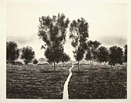 April Gornik - French Waterways, State II (Prints and Multiples) h: 28.2 x w: 38 in / h: 71.6 x w: 96.5 cm