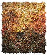 Aggregation07-A137