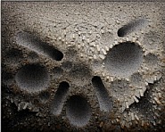 Aggregation11-SE066