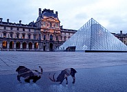 Ibex/Louvre