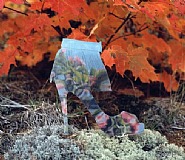 Impermanent Collection (Christian Louboutin)