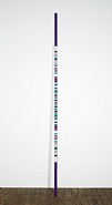 Pole (purple/turquoise)