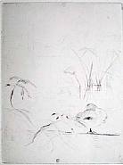 Berthe Morisot - The Ducks and Water Plants (Prints and Multiples)